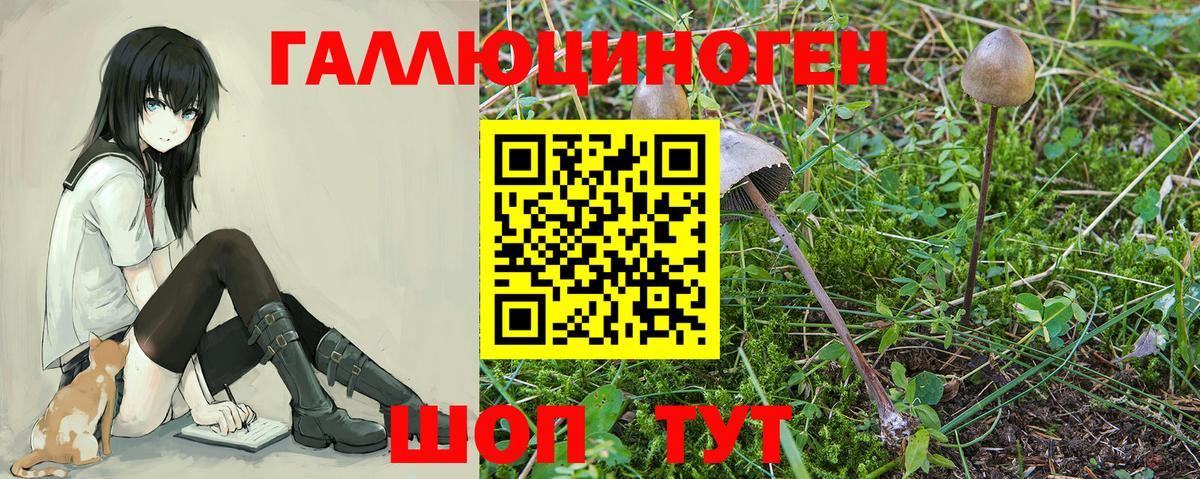 цена   Вход с VPN  Псилоцибиновые грибы Psilocybine cubensis  Кирово-Чепецк  Псилоцибиновые грибы прущие грибы 